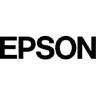 Epson 1579 Lt Lt Black Ink Cartridge